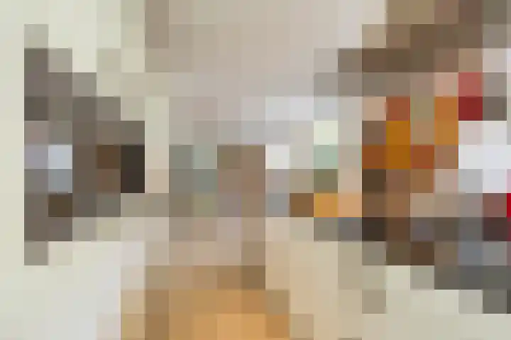 Kloosterlaan 18 Bergen (NH) thumbnail 13