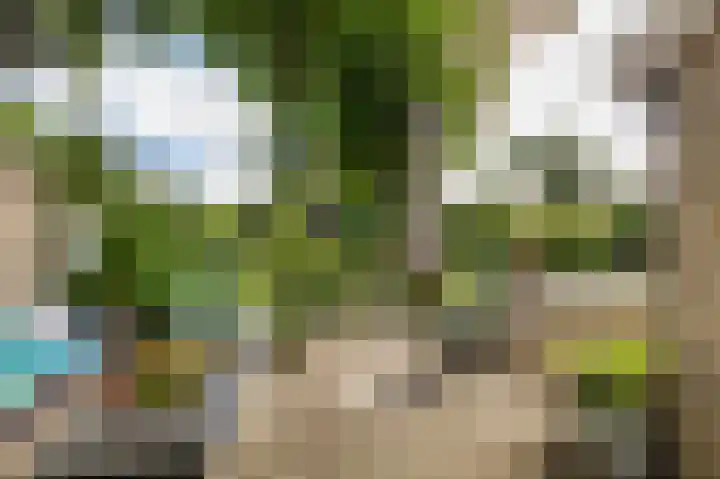 Kloosterlaan 18 Bergen (NH) thumbnail 16