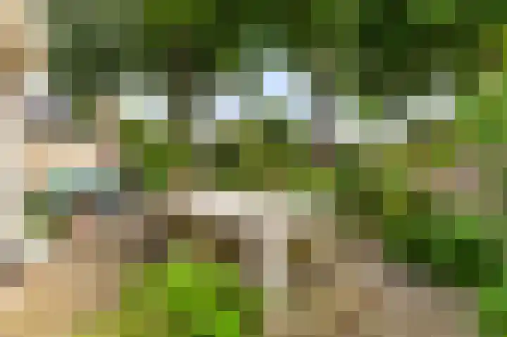 Kloosterlaan 18 Bergen (NH) thumbnail 17
