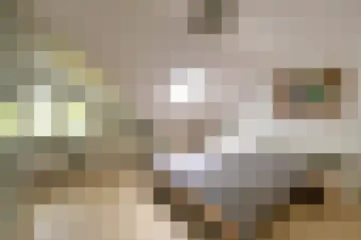 Kloosterlaan 18 Bergen (NH) thumbnail 38