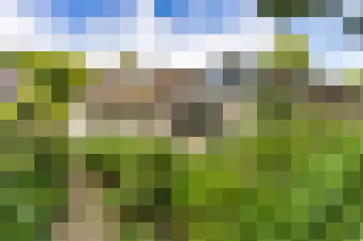 Kloosterlaan 18 Bergen (NH) thumbnail 5
