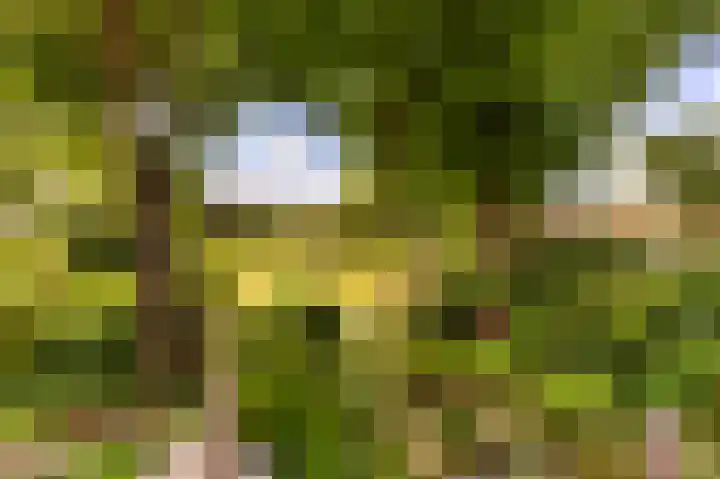 Kloosterlaan 18 Bergen (NH) thumbnail 6