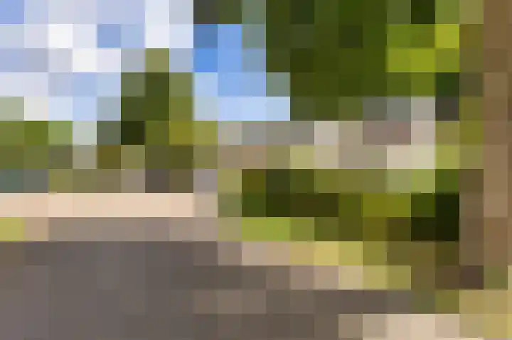 Kloosterlaan 18 Bergen (NH) thumbnail 7