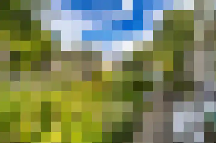 Kloosterlaan 18 Bergen (NH) thumbnail 8