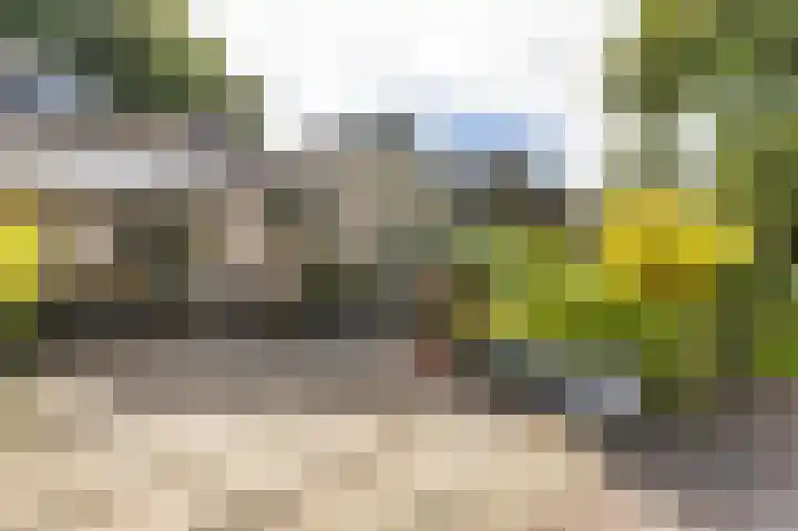 Kloosterlaan 18 Bergen (NH) thumbnail 9