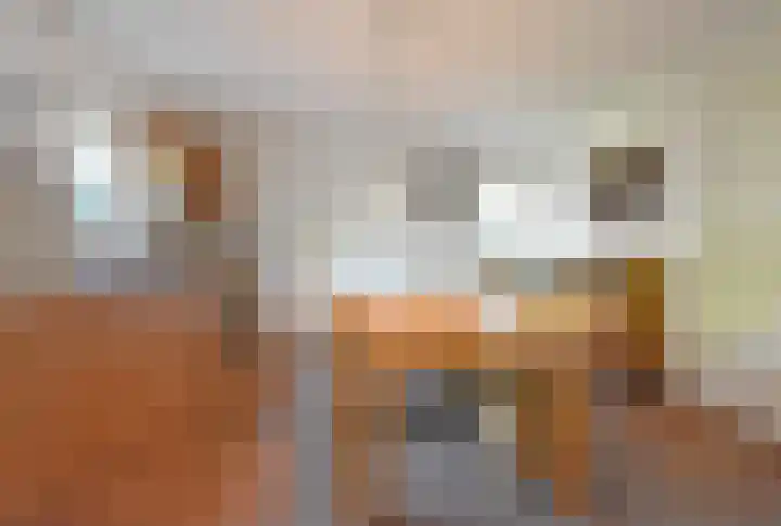 Kloosterlaan 18 Burgum thumbnail 32
