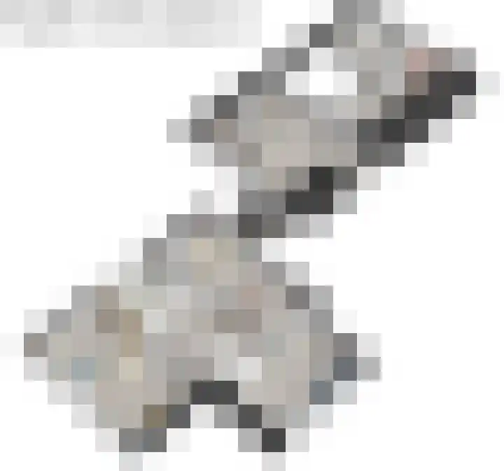 Kloosterlaan 18 Burgum thumbnail 42
