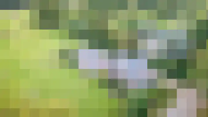 Kloosterlaan 18 Burgum thumbnail 6