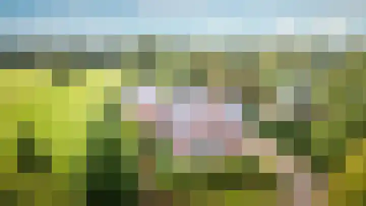 Kloosterlaan 18 Burgum thumbnail 7