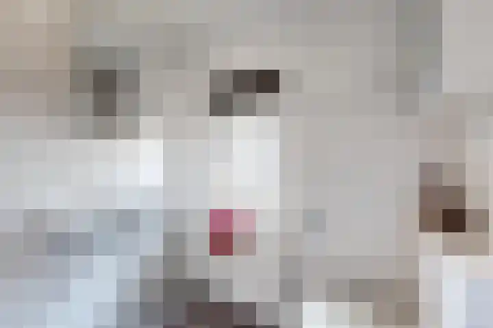 Kloosterlaan 18 Langeweg thumbnail 27