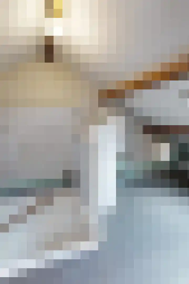 Kloosterlaan 18 Langeweg thumbnail 30