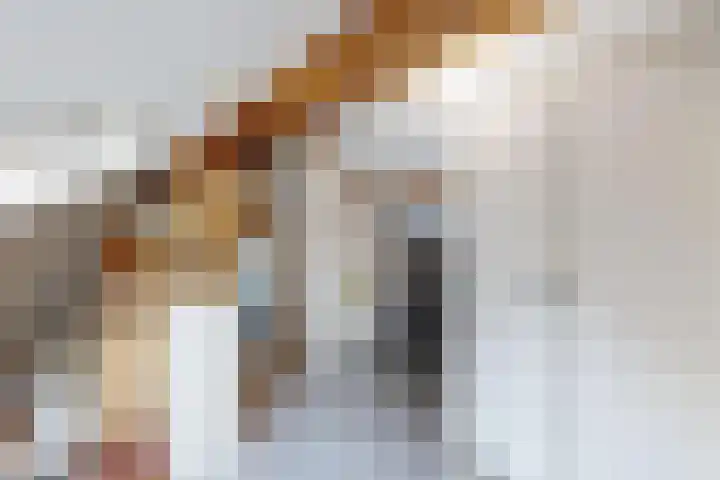Kloosterlaan 18 Langeweg thumbnail 34