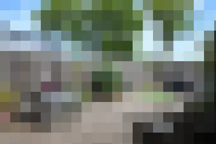 Kloosterlaan 18 Langeweg thumbnail 35