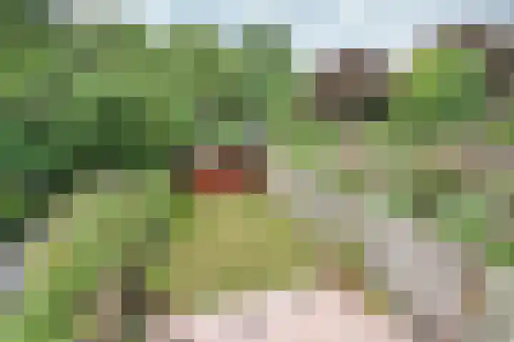 Kloosterlaan 182 Hilversum thumbnail 11