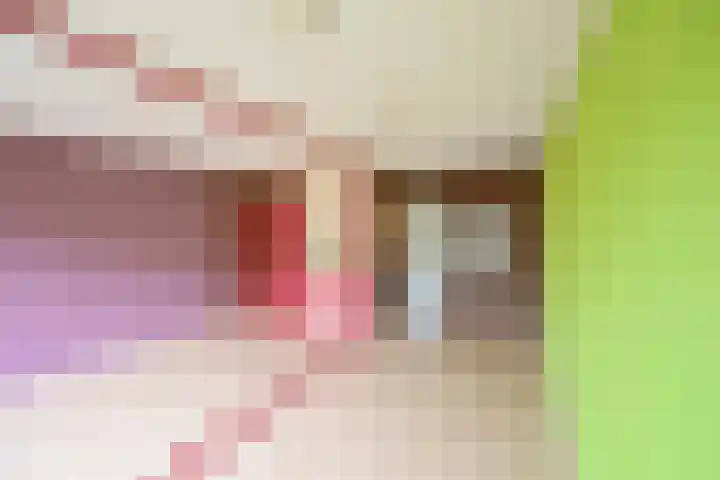 Kloosterlaan 182 Hilversum thumbnail 12