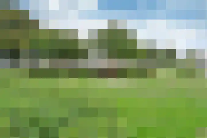 Kloosterlaan 182 Hilversum thumbnail 18