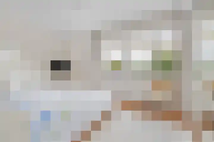 Kloosterlaan 186 Etten-Leur thumbnail 24