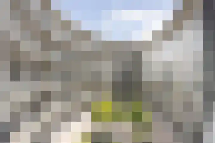 Kloosterlaan 186 Etten-Leur thumbnail 32