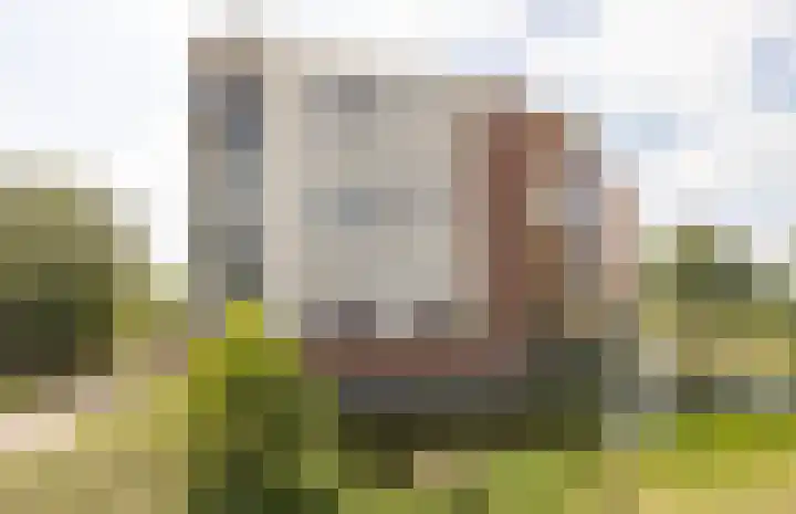Kloosterlaan 186 Etten-Leur thumbnail 33