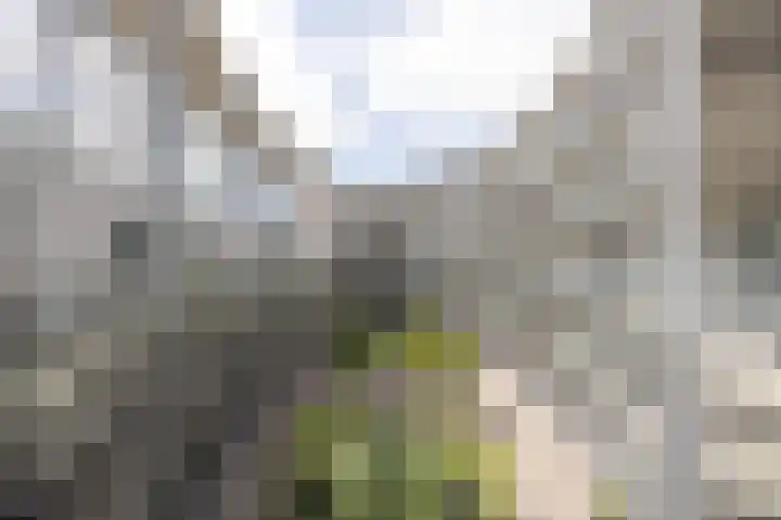 Kloosterlaan 186 Etten-Leur thumbnail 8