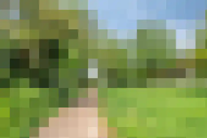 Kloosterlaan 189 Hilversum thumbnail 35