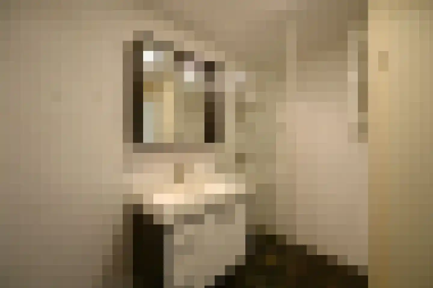 Kloosterlaan 199 Hilversum thumbnail 11