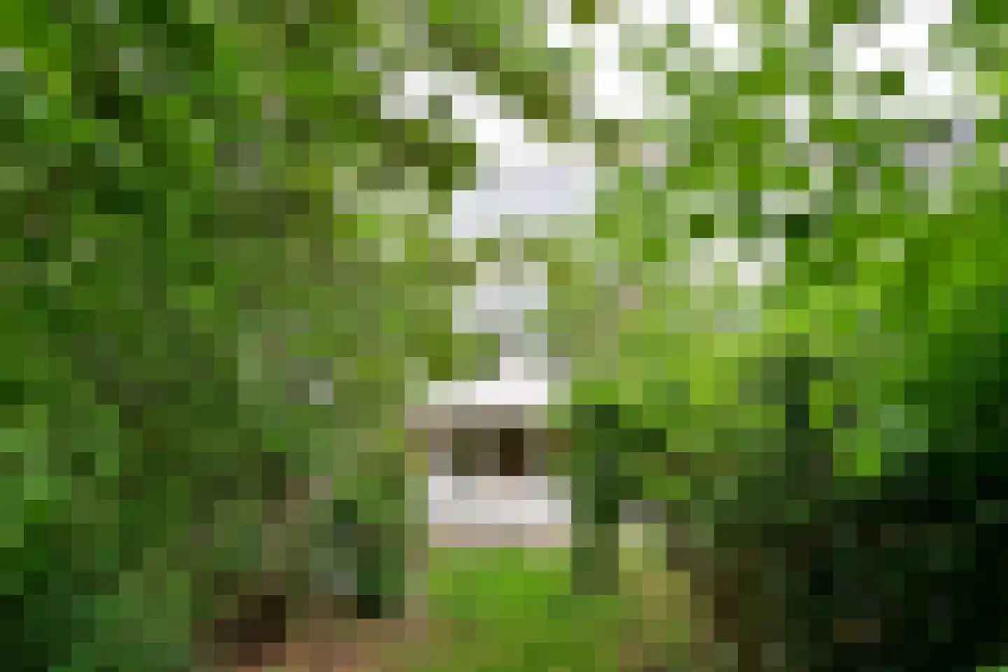 Kloosterlaan 199 Hilversum thumbnail 4
