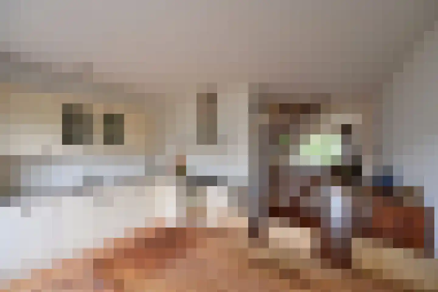 Kloosterlaan 199 Hilversum thumbnail 7