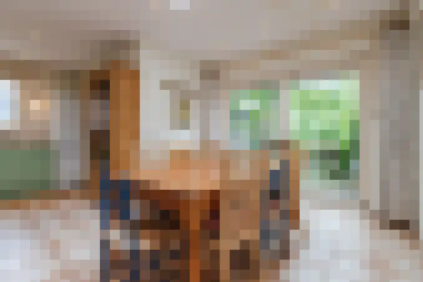 Kloosterlaan 20 Sint Agatha thumbnail 10