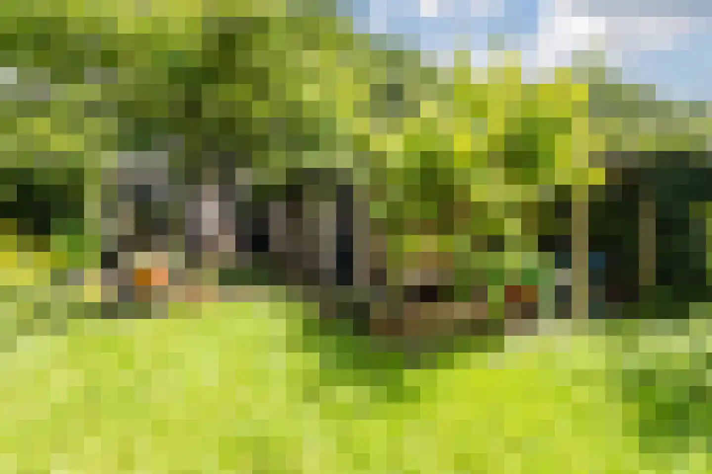 Kloosterlaan 20 Sint Agatha thumbnail 33