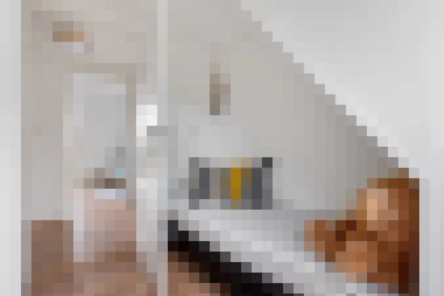 Kloosterlaan 20 Winschoten thumbnail 28