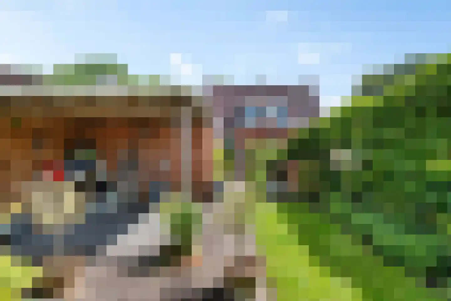 Kloosterlaan 20 Winschoten thumbnail 35