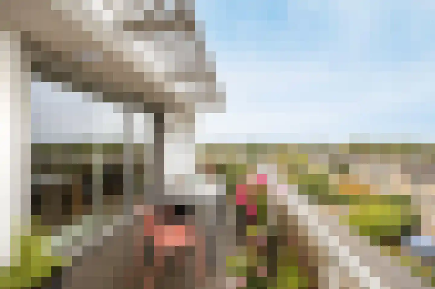 Kloosterlaan 206 Etten-Leur thumbnail 43