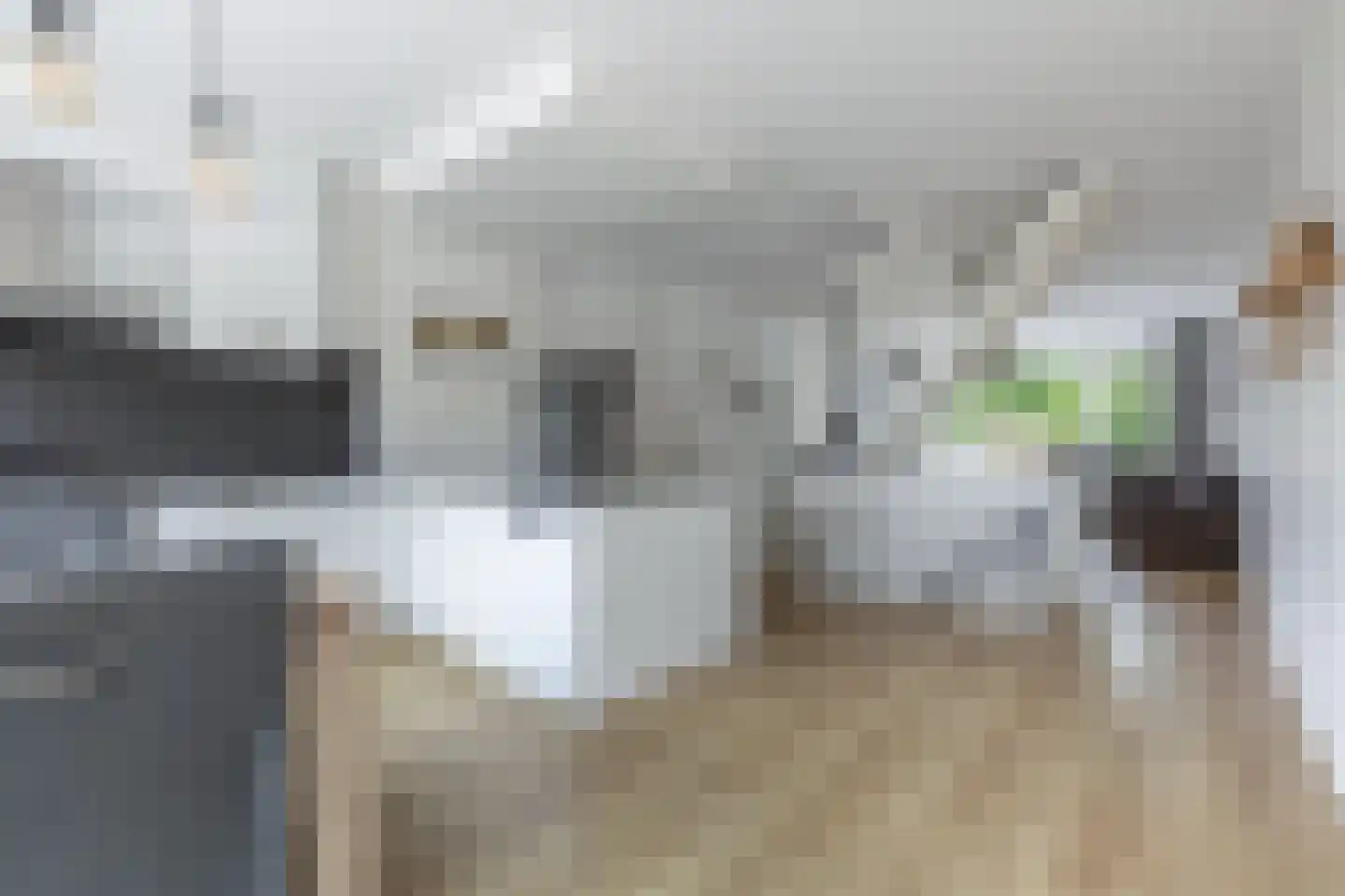 Kloosterlaan 216 Hilversum thumbnail 13