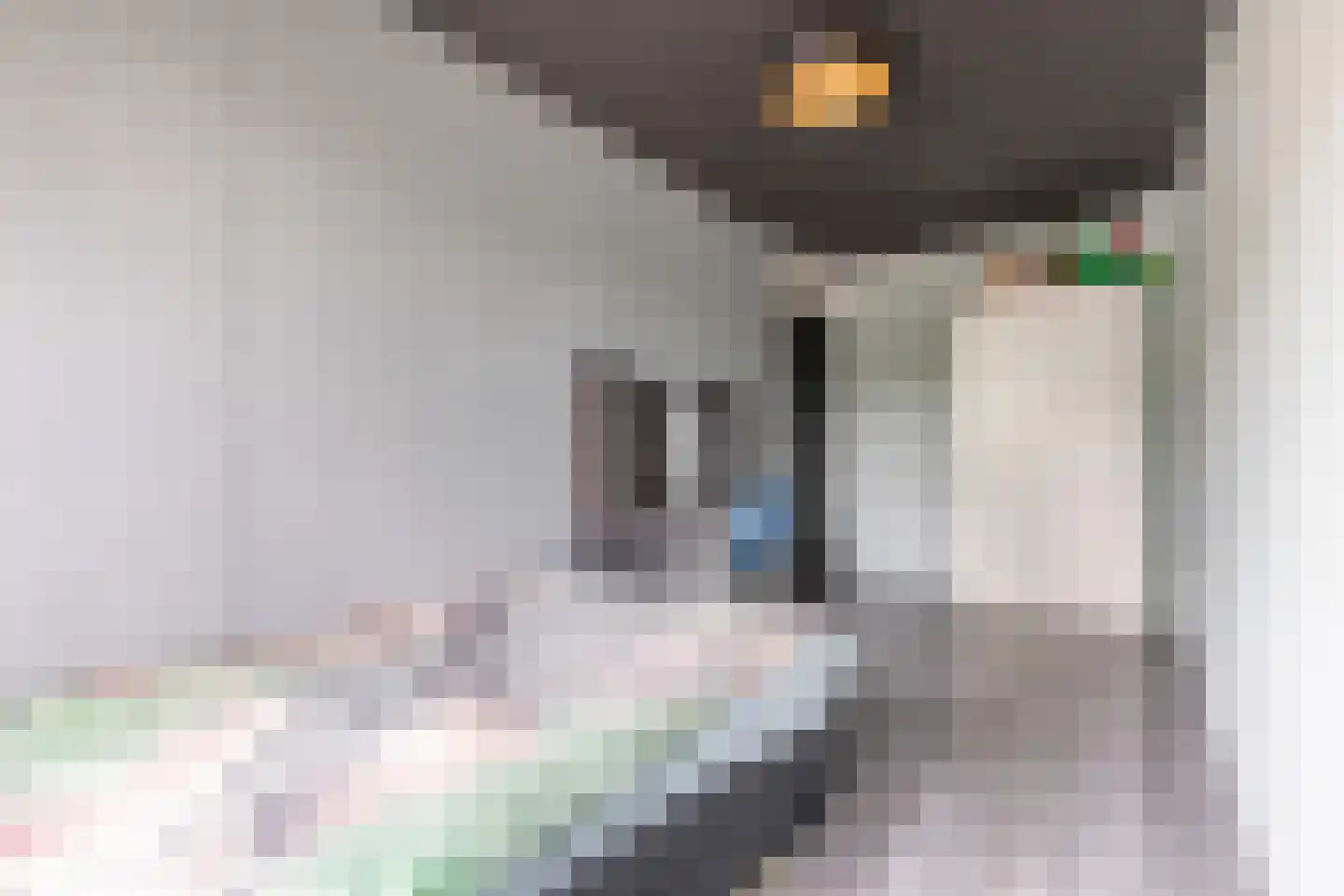 Kloosterlaan 216 Hilversum thumbnail 21
