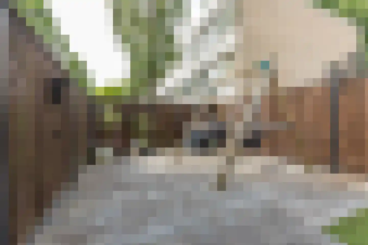 Kloosterlaan 216 Hilversum thumbnail 32