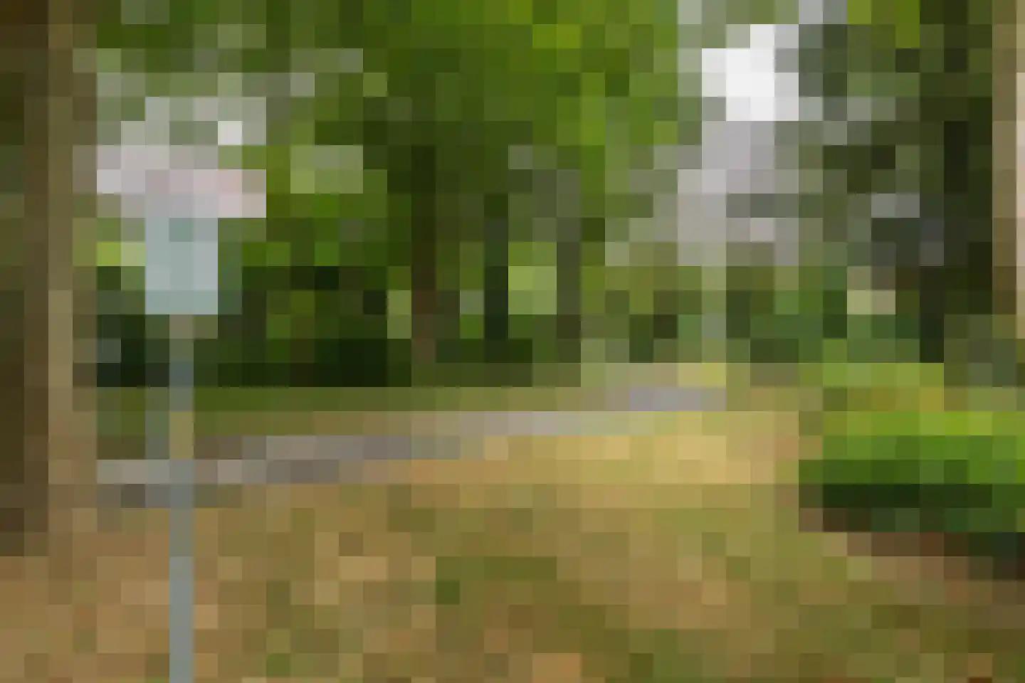 Kloosterlaan 216 Hilversum thumbnail 38