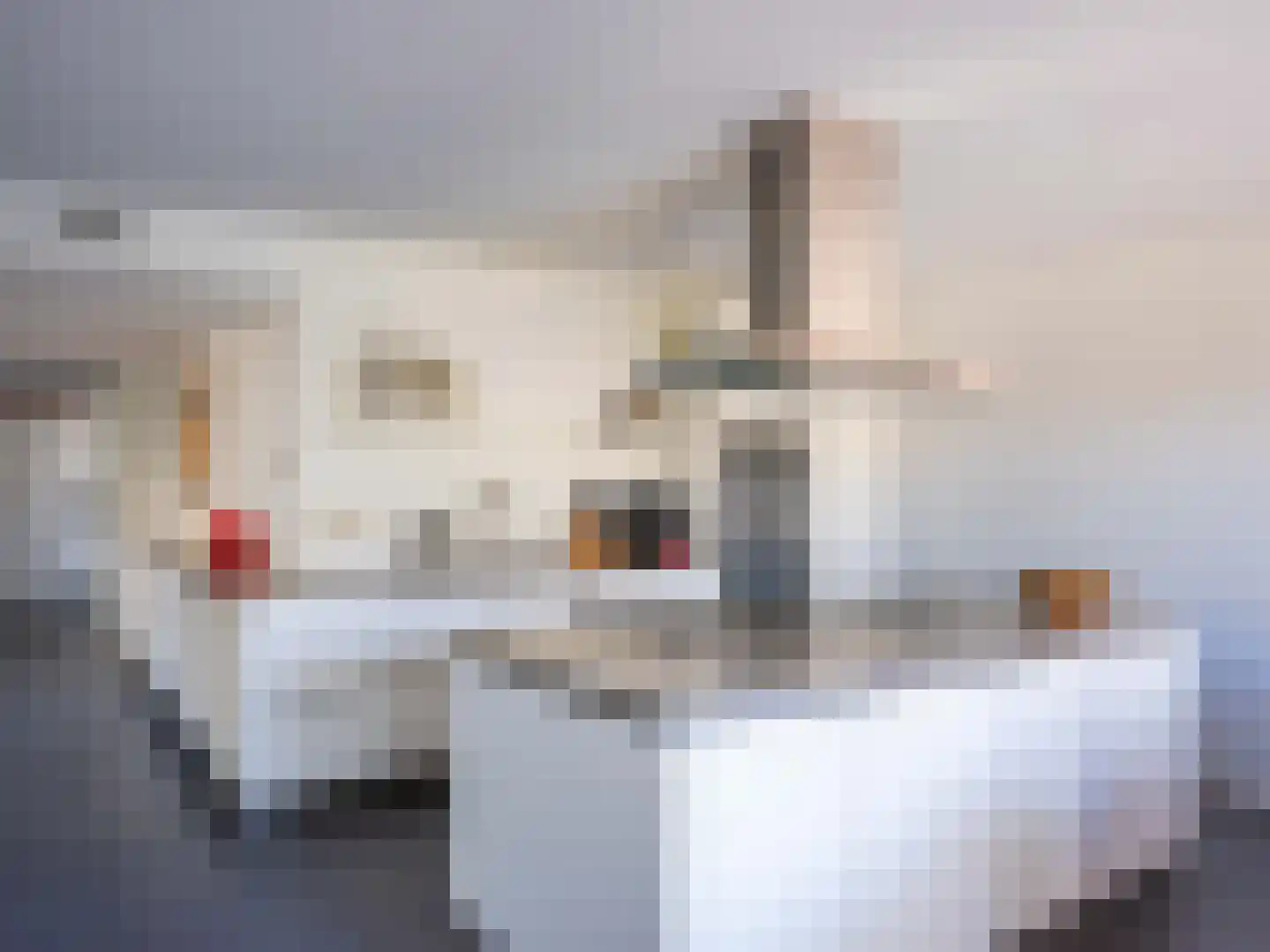 Kloosterlaan 22 Bergen (NH) thumbnail 5