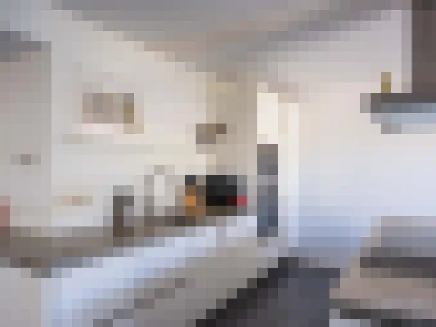 Kloosterlaan 22 Bergen (NH) thumbnail 6