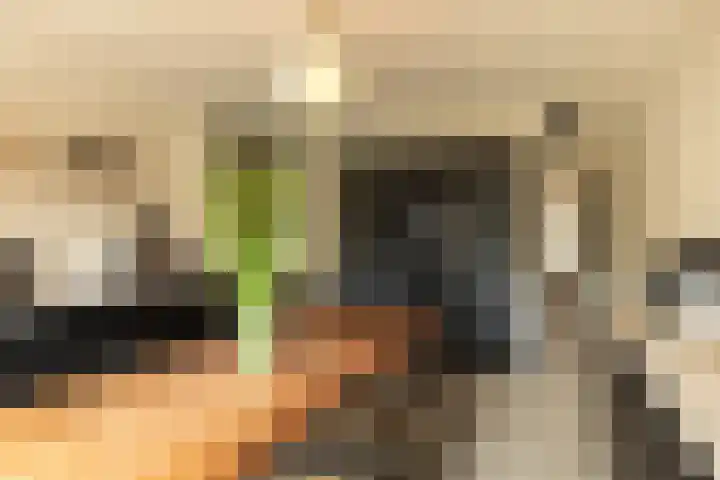 Kloosterlaan 232 Hilversum thumbnail 12