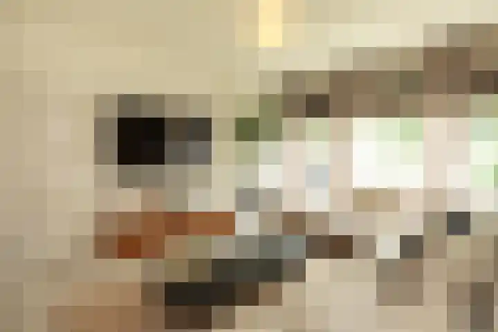 Kloosterlaan 232 Hilversum thumbnail 15