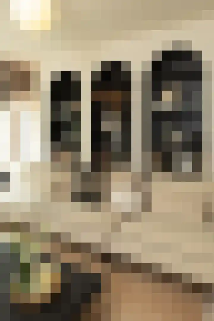 Kloosterlaan 232 Hilversum thumbnail 16