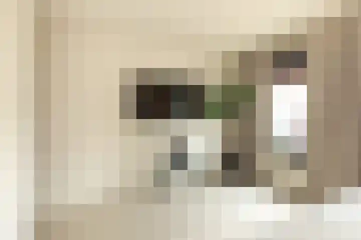 Kloosterlaan 232 Hilversum thumbnail 19