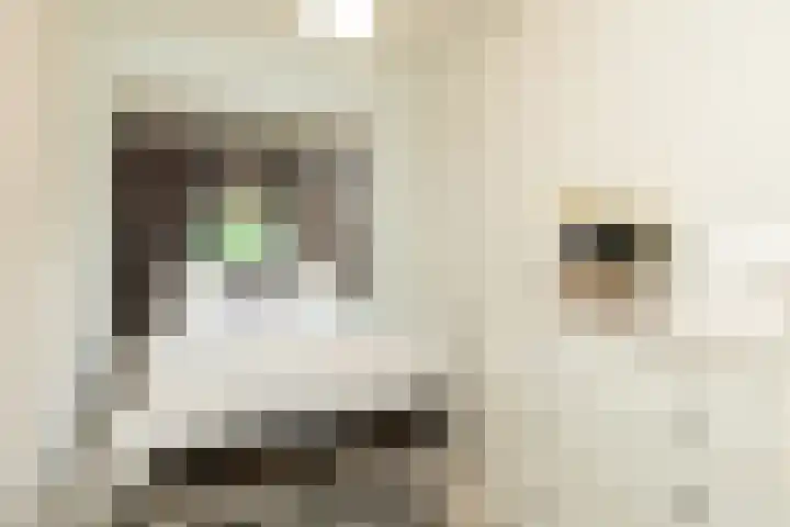 Kloosterlaan 232 Hilversum thumbnail 22