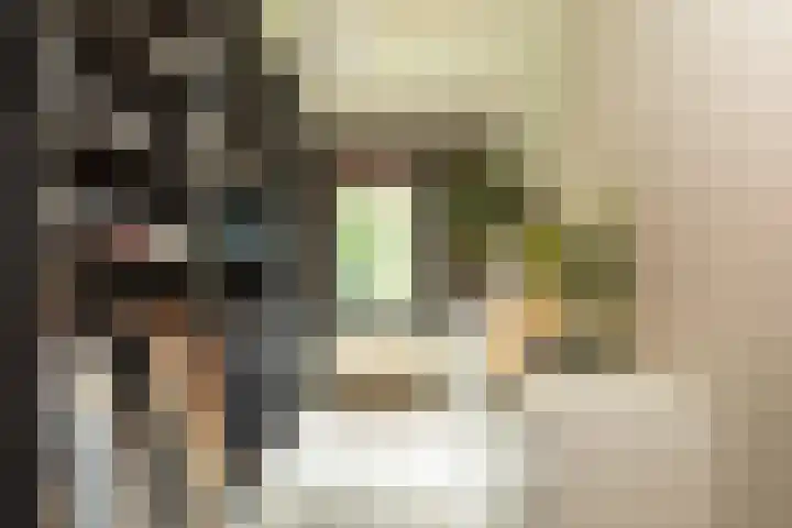 Kloosterlaan 232 Hilversum thumbnail 24