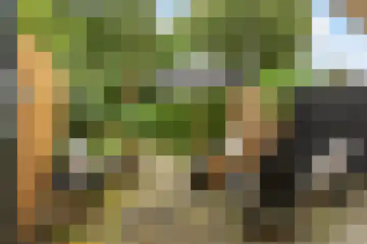 Kloosterlaan 232 Hilversum thumbnail 28