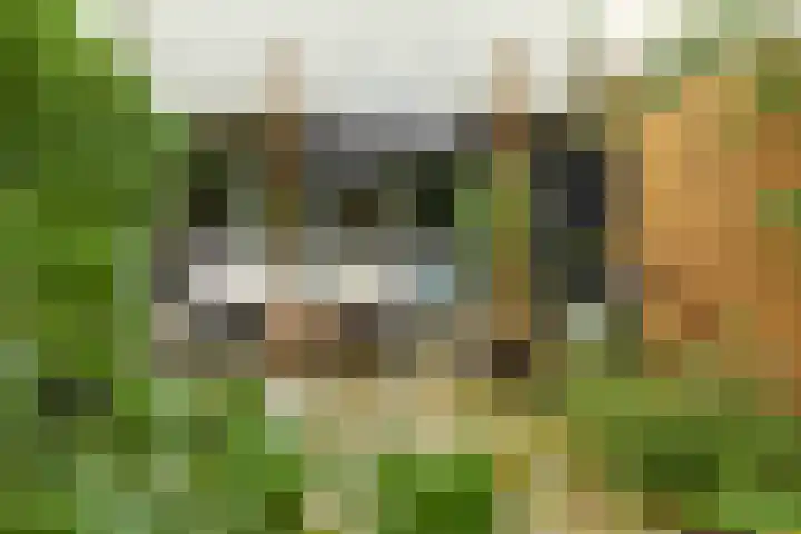 Kloosterlaan 232 Hilversum thumbnail 29