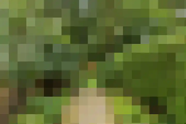 Kloosterlaan 232 Hilversum thumbnail 30