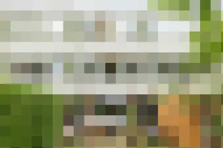 Kloosterlaan 232 Hilversum thumbnail 31