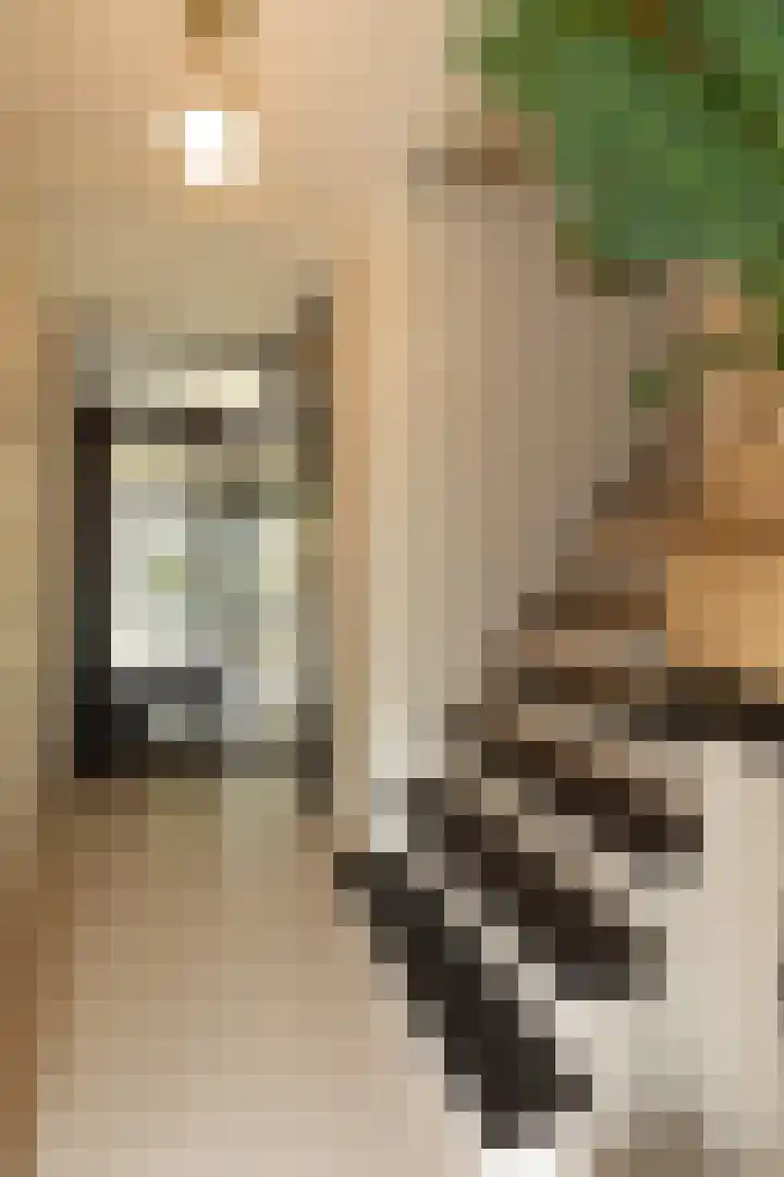 Kloosterlaan 232 Hilversum thumbnail 4